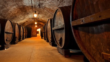 Winery tours