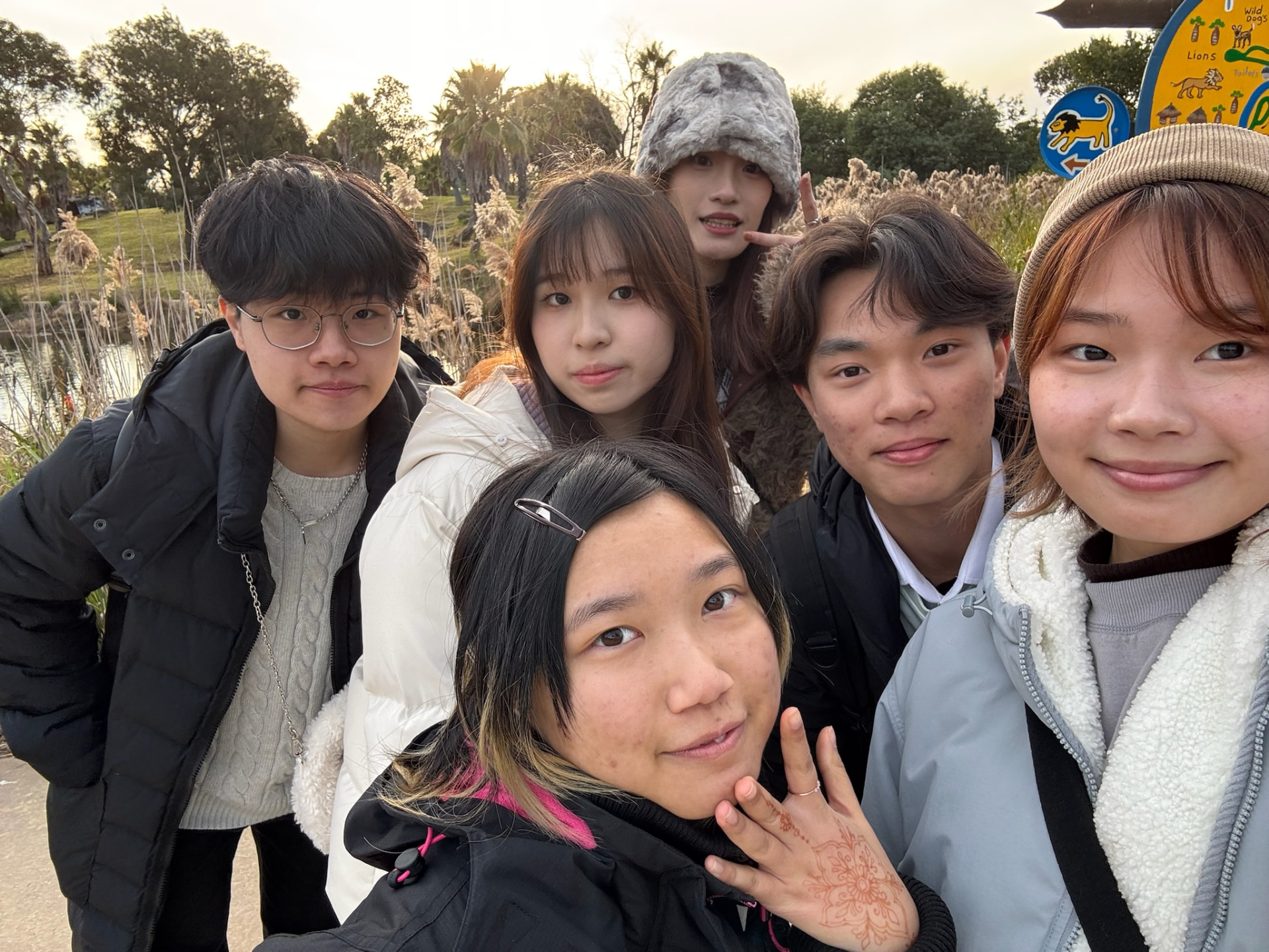 Group of interns exploring a wildlife park together at sunset