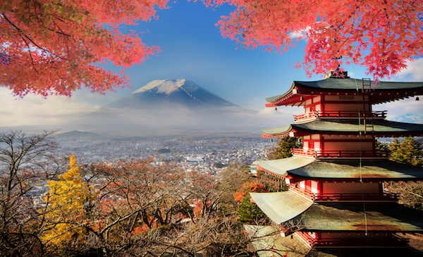 Intern in Japan